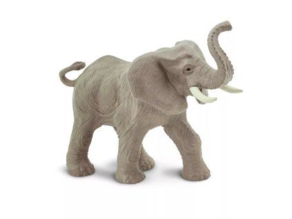237150 slon africky