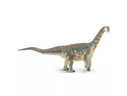 238395 camarasaurus