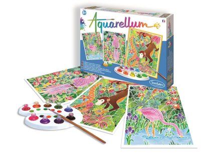238893 akvarely amazonie