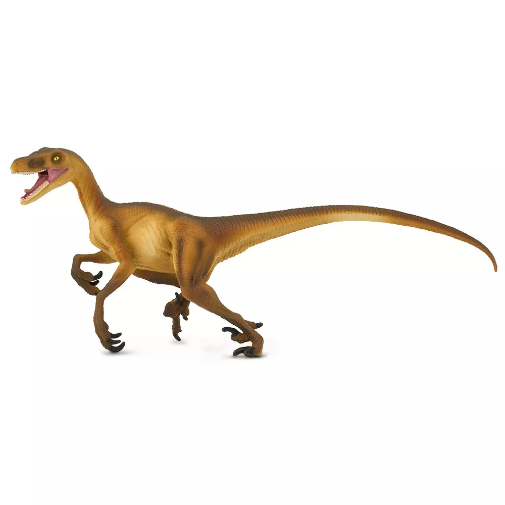Safari Ltd. Велоцираптор — MO-SFS299929