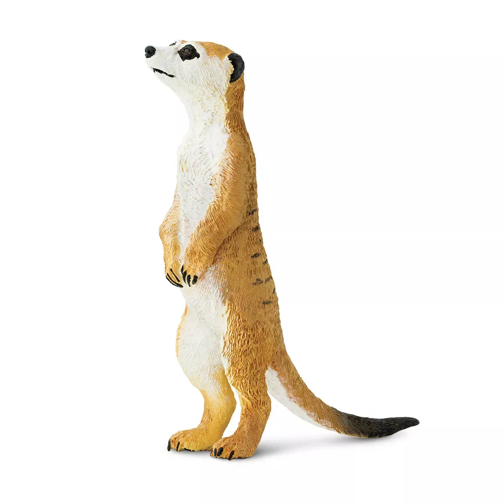 Safari Ltd. Фигурка - Сурикат