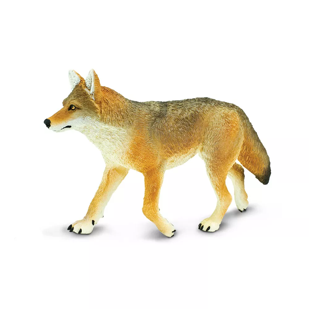 Safari Ltd. Койот