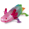 241152 2 duhovy axolotl