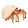 236163 1 krab poustevnik