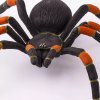 236232 4 tarantule s oranzovymi koleny
