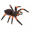 236232 tarantule s oranzovymi koleny