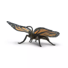 236235 3 motyl monarcha