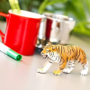236418 5 tygr bengalsky