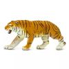 236418 tygr bengalsky
