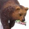 236559 4 medved grizzly