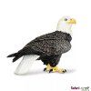 236607 orel belohlavy