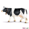 236637 holstein krava
