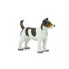 236700 3 jack russel terier