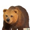 236997 6 medved grizzly