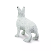 237747 2 zajic polarni