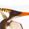 240462 7 pteranodon