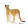 238068 3 puma floridska
