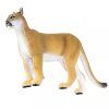 238068 6 puma floridska