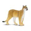 238068 puma floridska