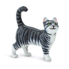 238074 2 mainska myvali kocka