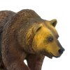 238383 7 medved grizzly