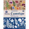 240807 2 kyanotypie mini set
