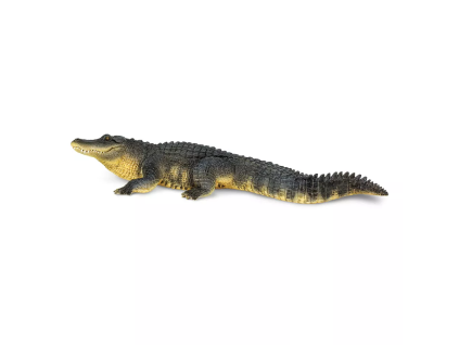 237723 aligator