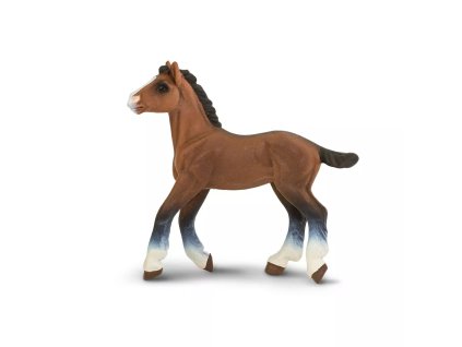 236616 clydesdale hribe