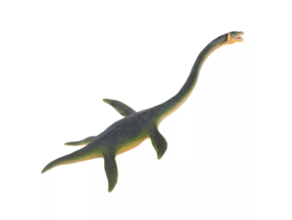 236322 elasmosaurus