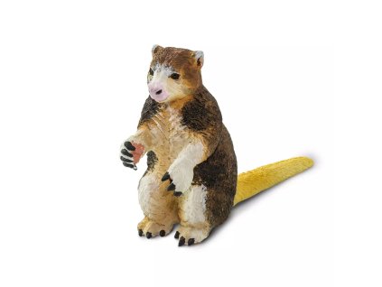 238578 klokan matschieuv