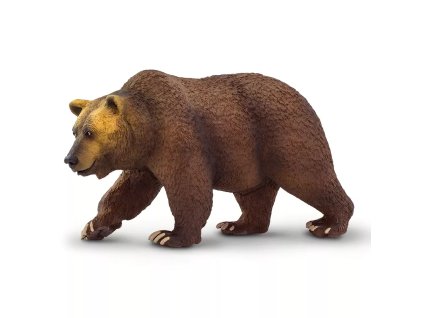 238383 medved grizzly