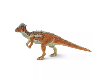 238545 pachycephalosaurus