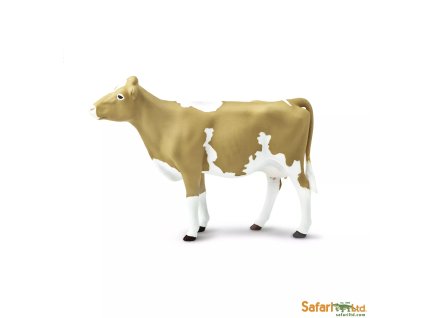 237774 guernseysky skot