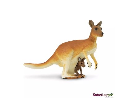 236472 klokan s mladetem