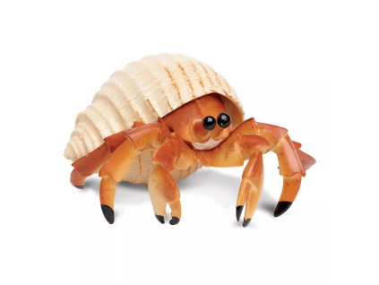 236163 krab poustevnik