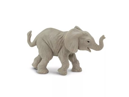 236403 mlade slona africkeho