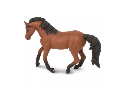 237156 morgansky hrebec