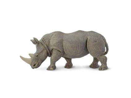 236406 nosorozec tuponosy