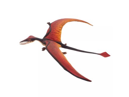 236295 ramphorhynchus
