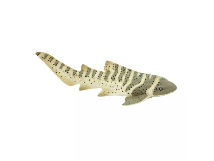 236733 ruznozubec pruhovany