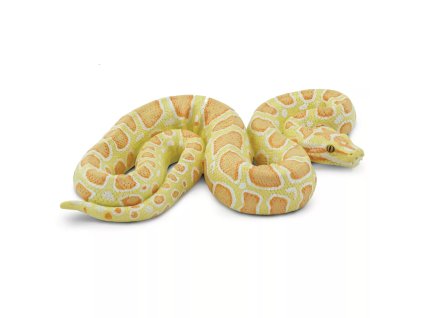 241212 barmska krajta albin