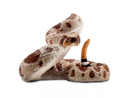 240849 chrestys zapadni