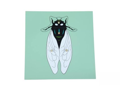 235200 puzzle moucha