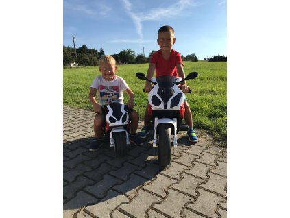 3441 1 detska elektricka motorka bmw s1000rr cervena