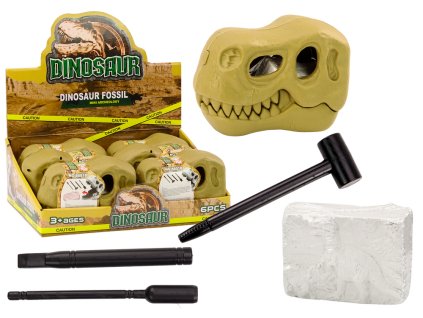 Archeologická vykopávková sada Dinosauři Fosílie Lebka