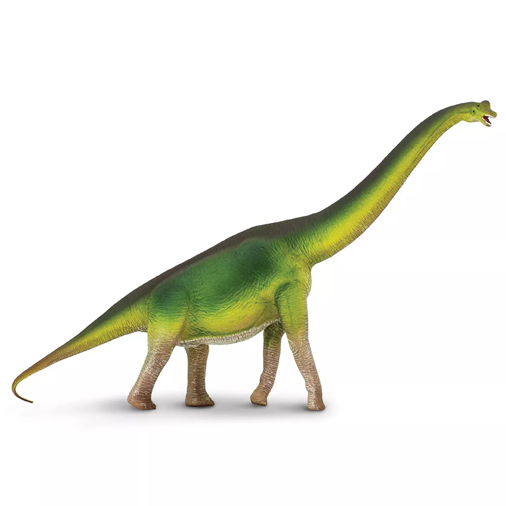 Levně Safari Ltd. Brachiosaurus