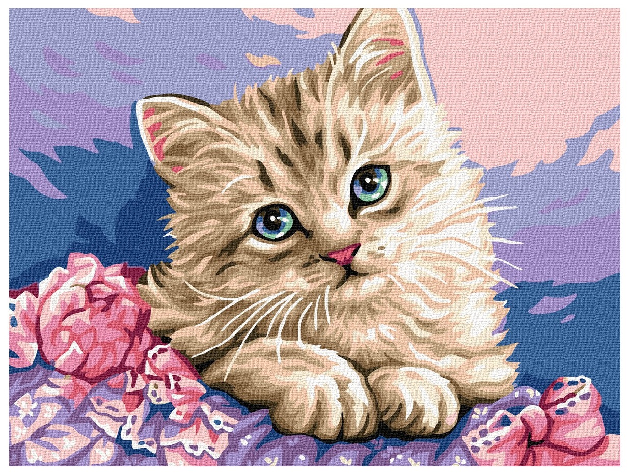 mamido  Malování podle čísel Kočka 40x50 cm