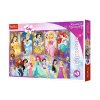 224958 puzzle princeznovske portrety 160 dilku trefl 15407