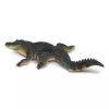 237723 2 aligator