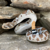 240849 1 chrestys zapadni